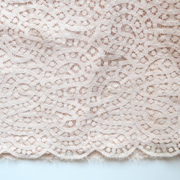 J.Crew Tan Lace Sleeveless Sheath Dress Size 0 Scalloped Hem Wedding Party - Picture 7 of 8